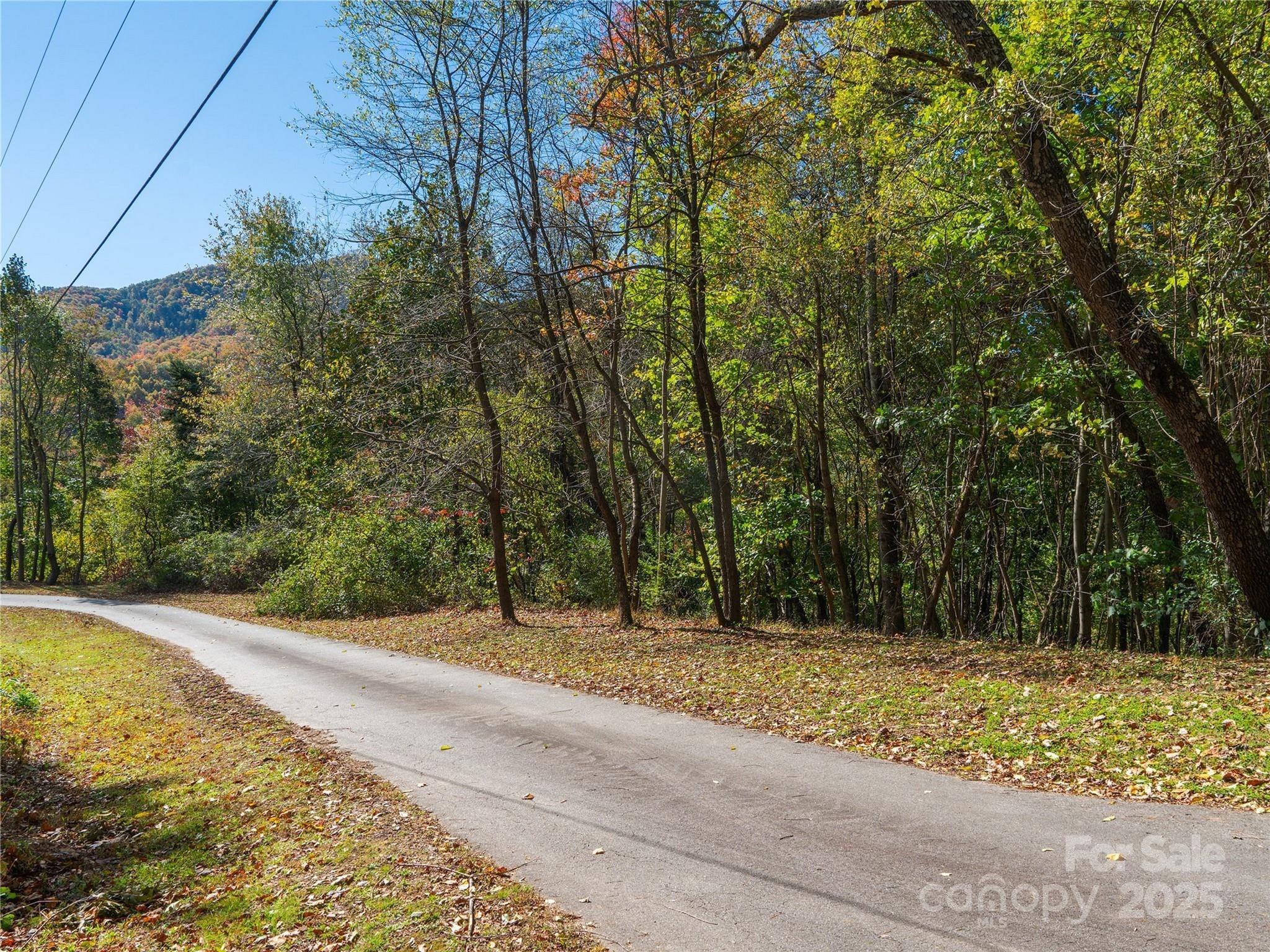 9999 Lovebird Lane Candler NC 28715