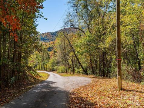 9999 Lovebird Lane Candler NC 28715