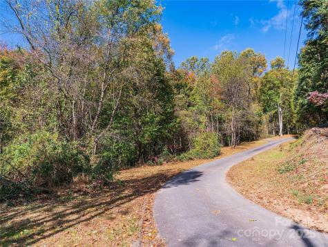 9999 Lovebird Lane Candler NC 28715