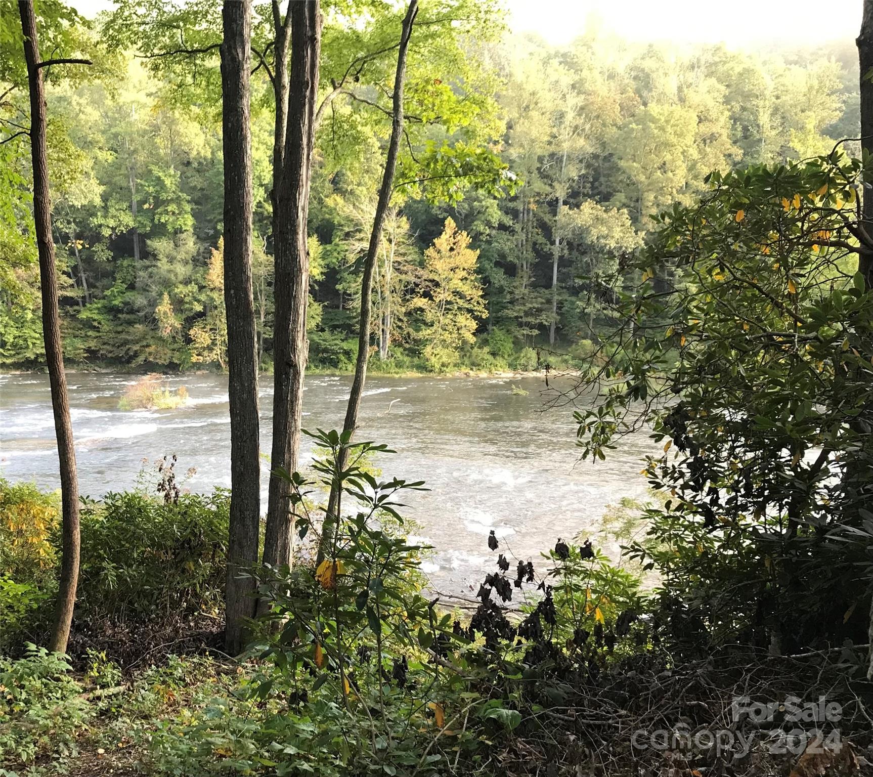 17 Harleys Cove Road Waynesville NC 28785