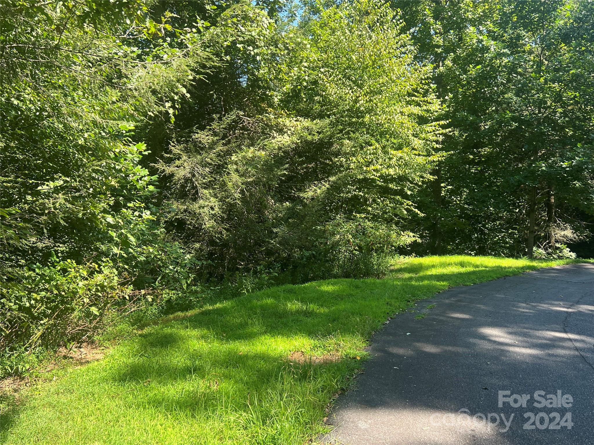 17 Harleys Cove Road Waynesville NC 28785