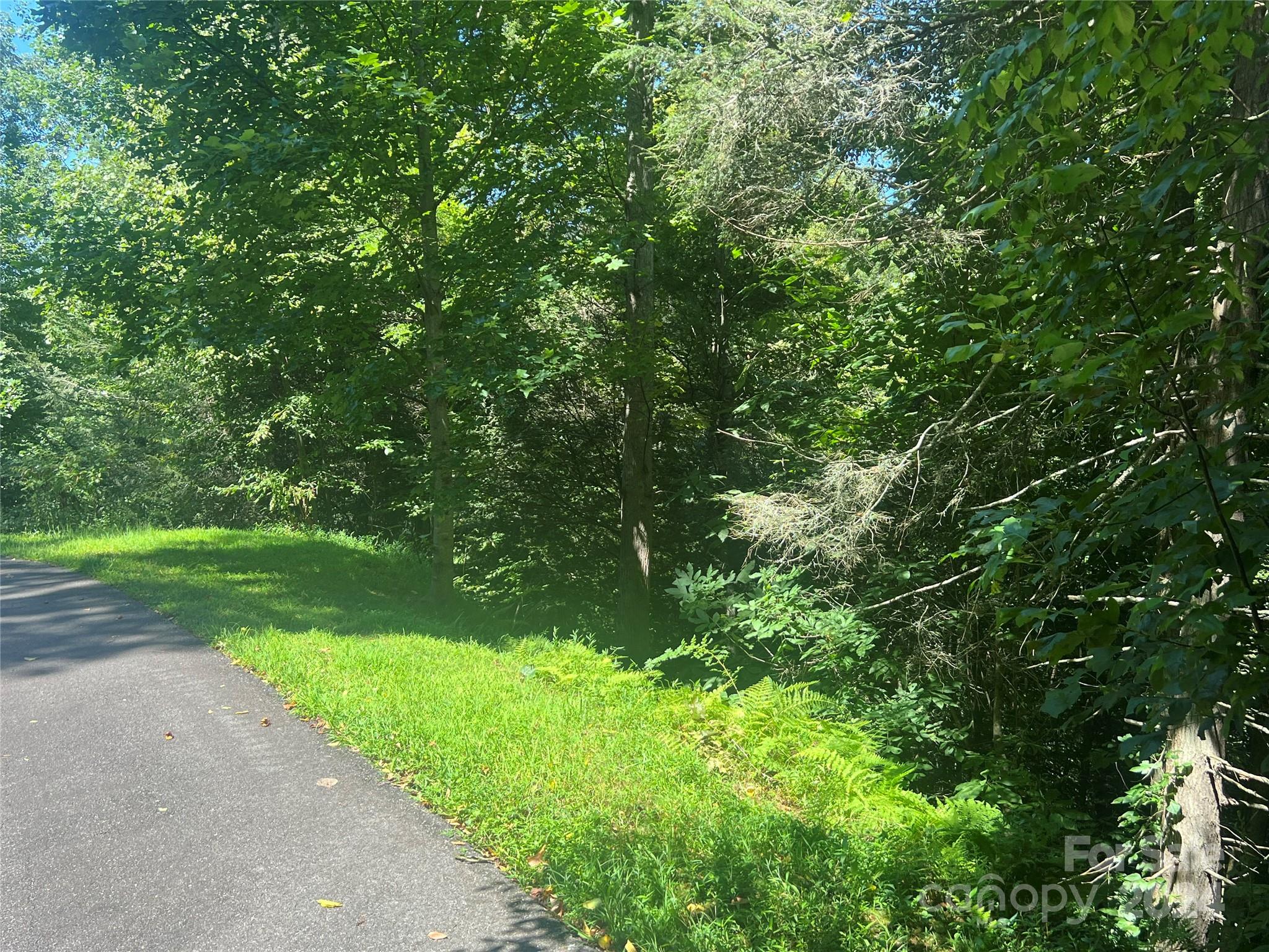 17 Harleys Cove Road Waynesville NC 28785