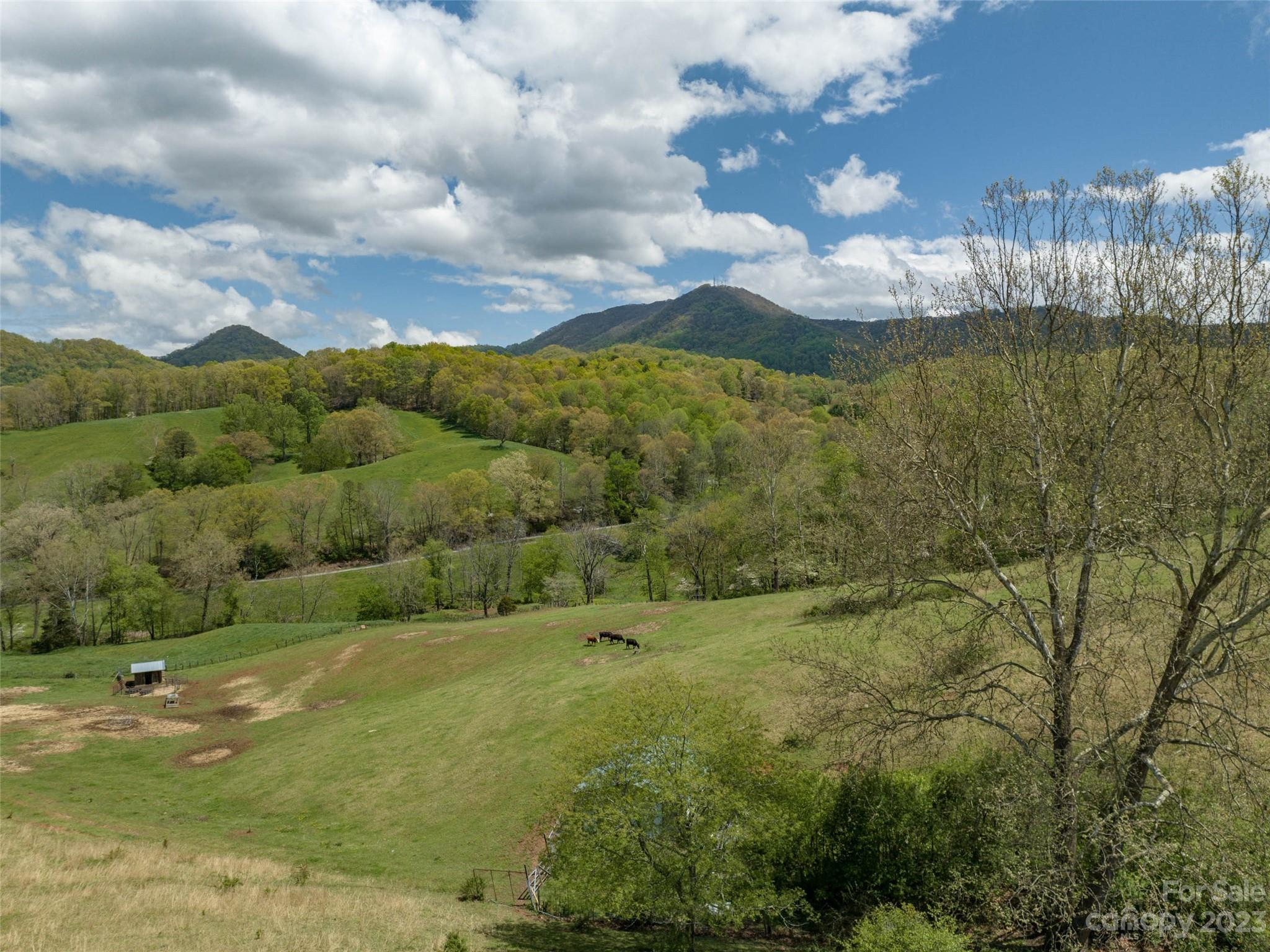 #4 Sunny Hill Lane Clyde NC 28721