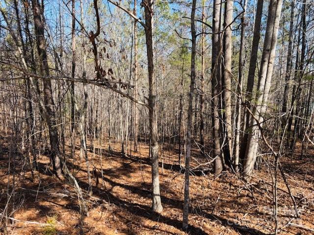 0 Creekside Circle Rutherfordton NC 28139
