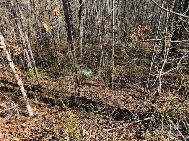 0 Creekside Circle Rutherfordton NC 28139
