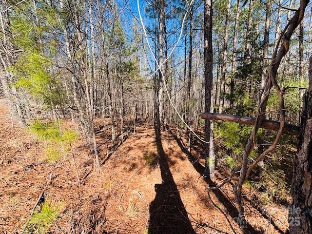 0 Creekside Circle Rutherfordton NC 28139