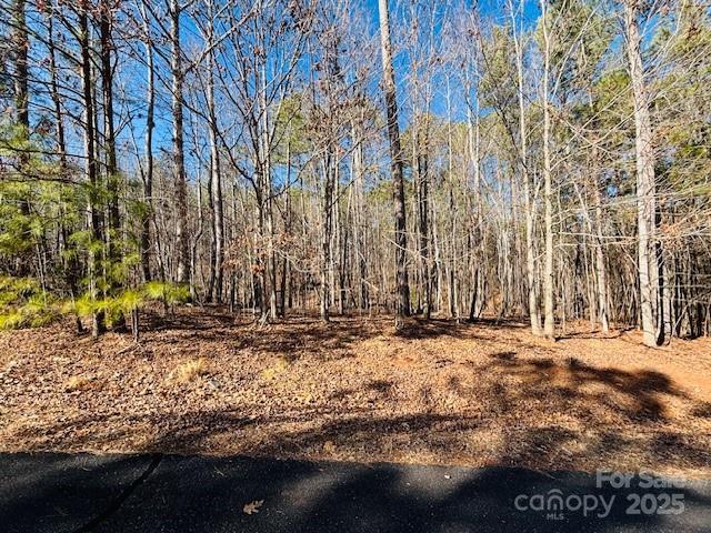 0 Creekside Circle Rutherfordton NC 28139