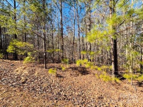 0 Creekside Circle Rutherfordton NC 28139