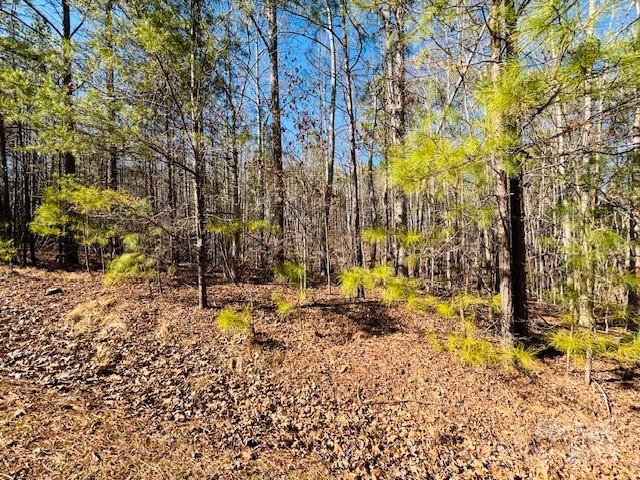 0 Creekside Circle Rutherfordton NC 28139