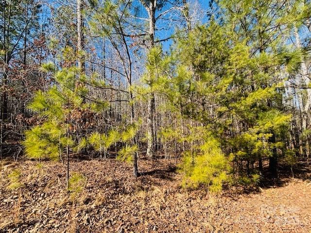 0 Creekside Circle Rutherfordton NC 28139