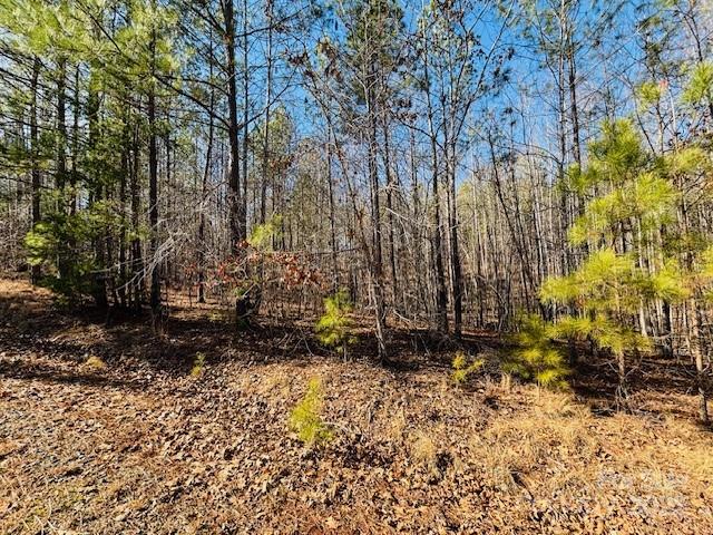 0 Creekside Circle Rutherfordton NC 28139