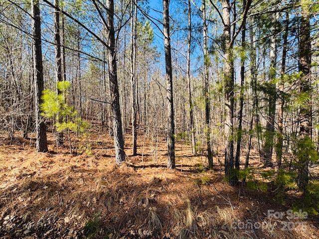 0 Creekside Circle Rutherfordton NC 28139