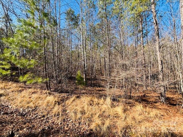 0 Creekside Circle Rutherfordton NC 28139