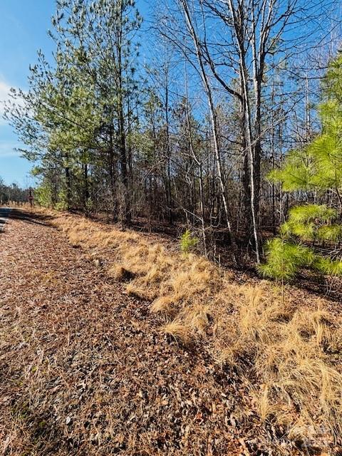 0 Creekside Circle Rutherfordton NC 28139