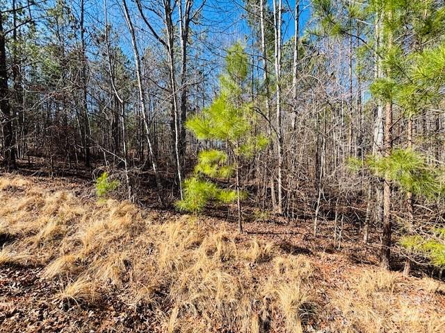 0 Creekside Circle Rutherfordton NC 28139