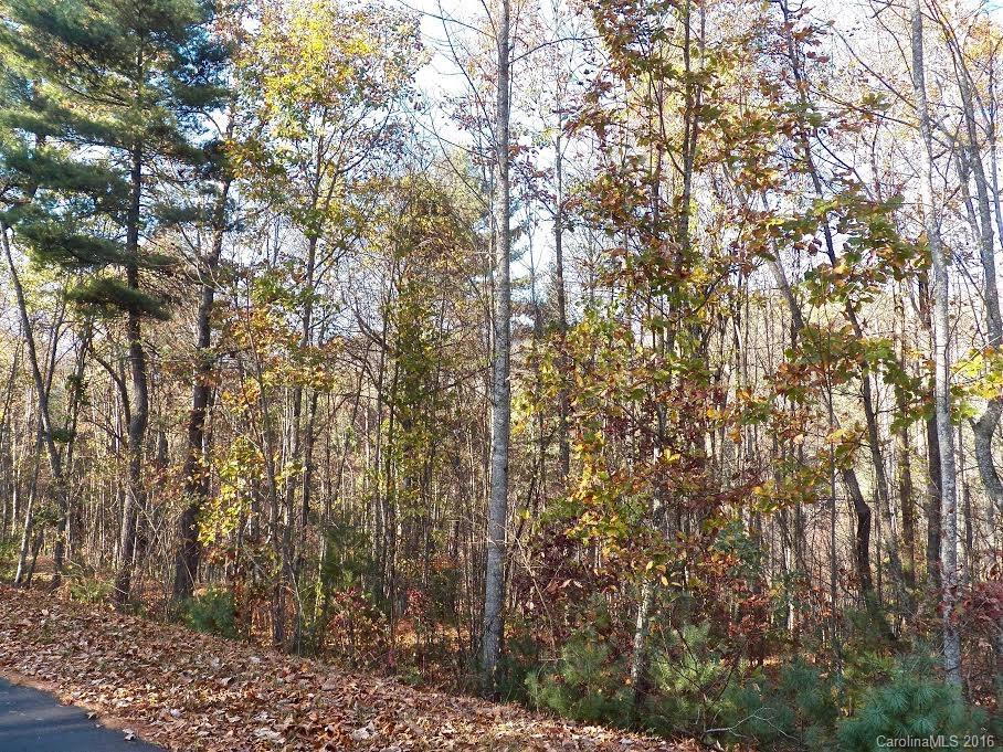 7 Villa Nova Drive Asheville NC 28804