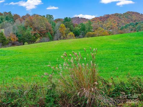 1659 Holcombe Branch Road Weaverville NC 28787