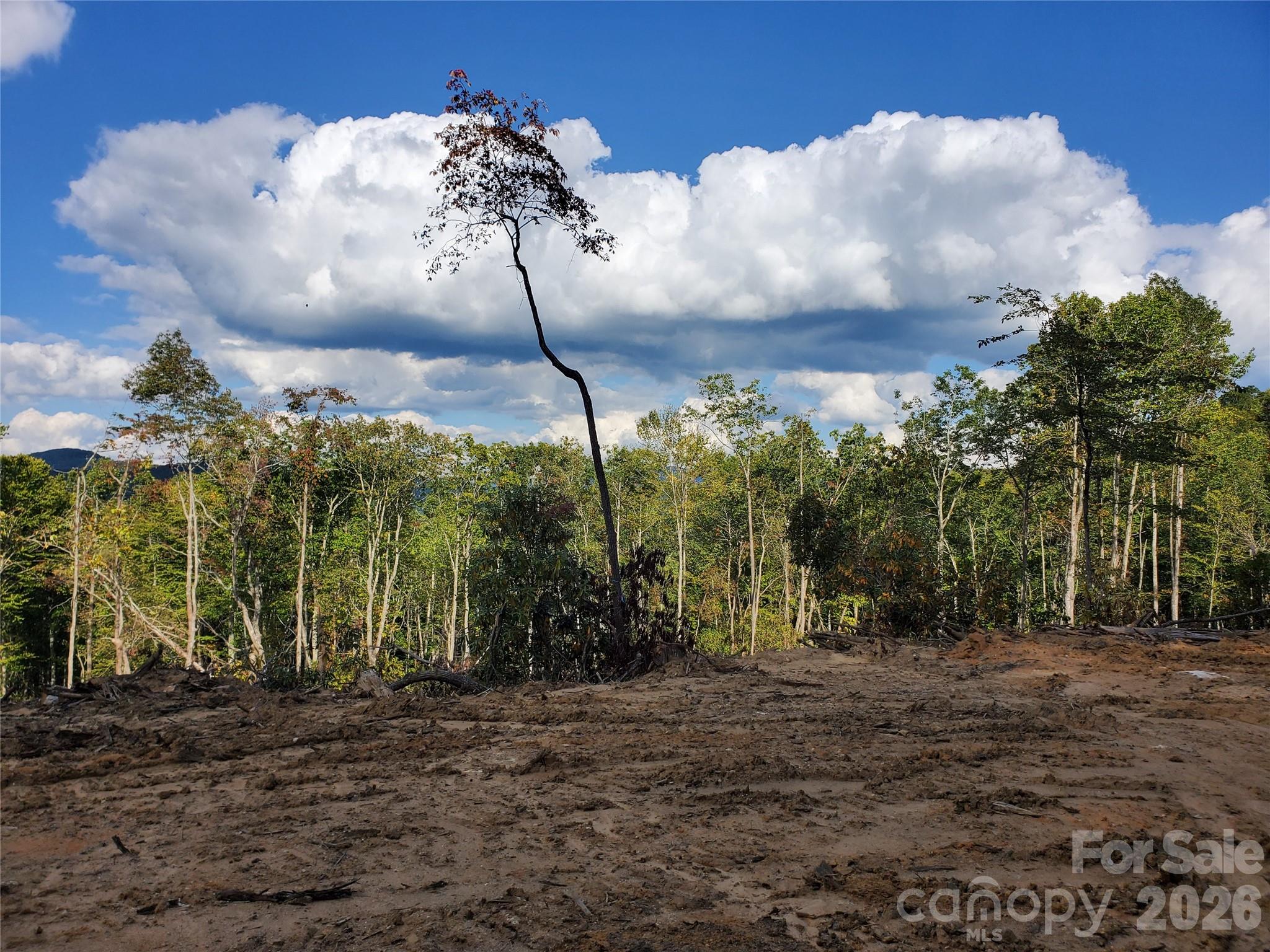 Lot 32 Parkwood Hill Road Spruce Pine NC 28777