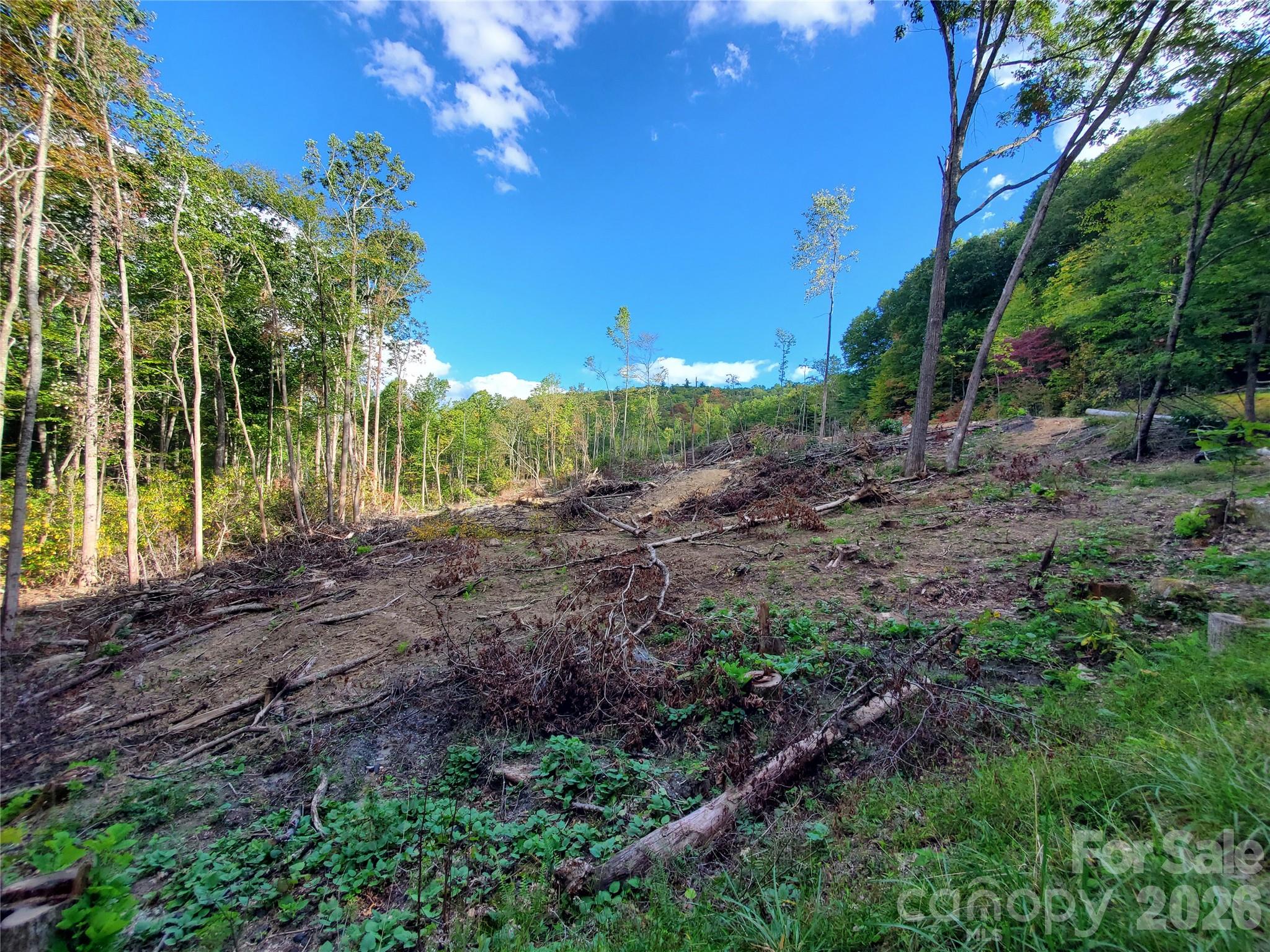 Lot 32 Parkwood Hill Road Spruce Pine NC 28777