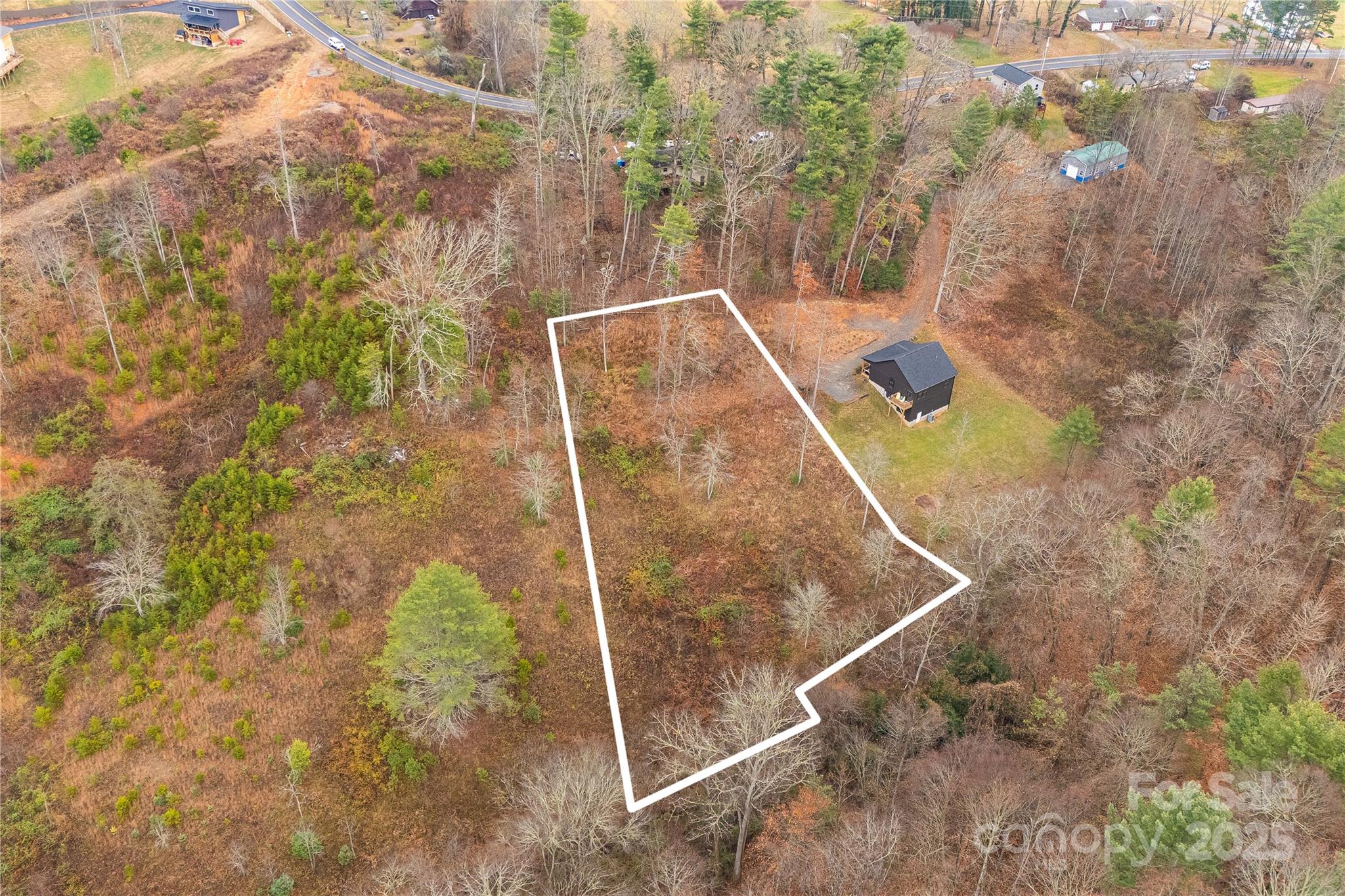 9999 Gizmo Trail Leicester NC 28748