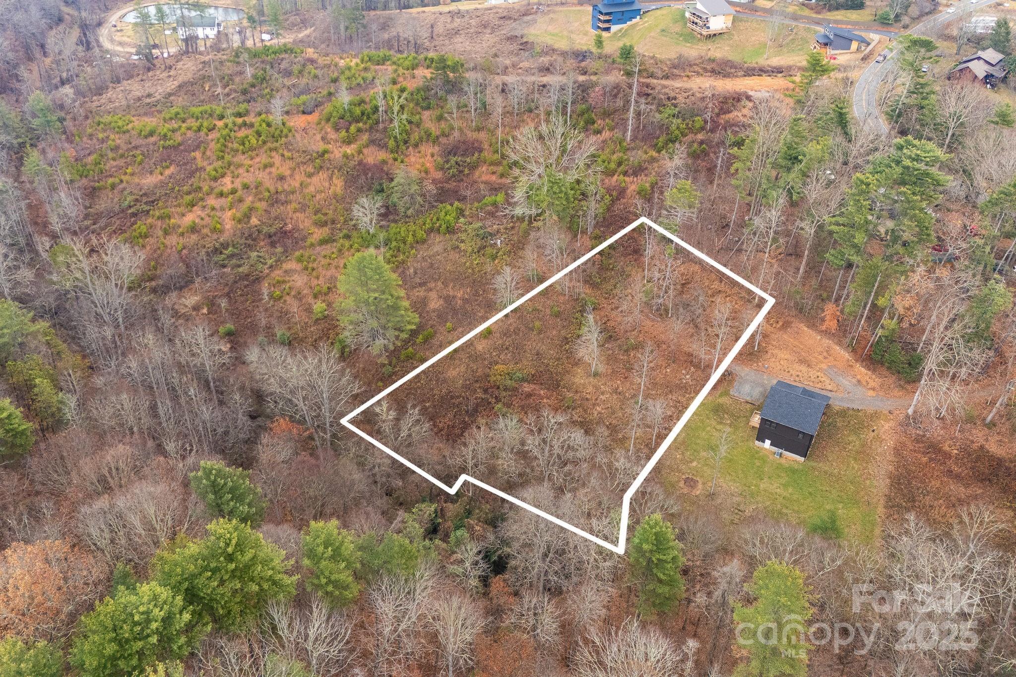 9999 Gizmo Trail Leicester NC 28748