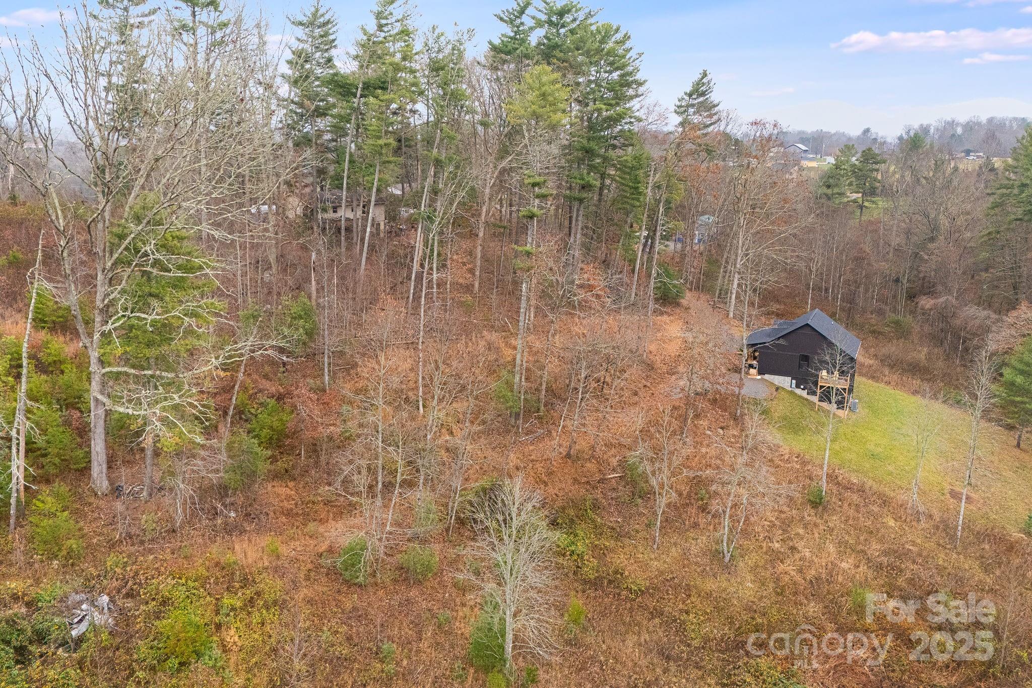 9999 Gizmo Trail Leicester NC 28748