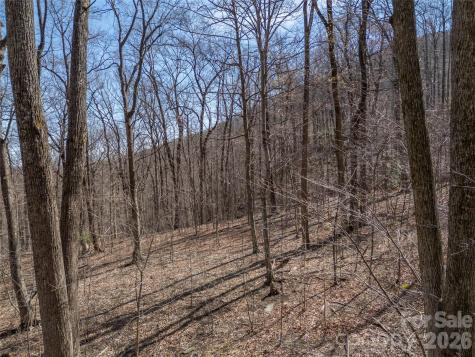 Lot 2130 Weaverly Lane Mill Spring NC 28756