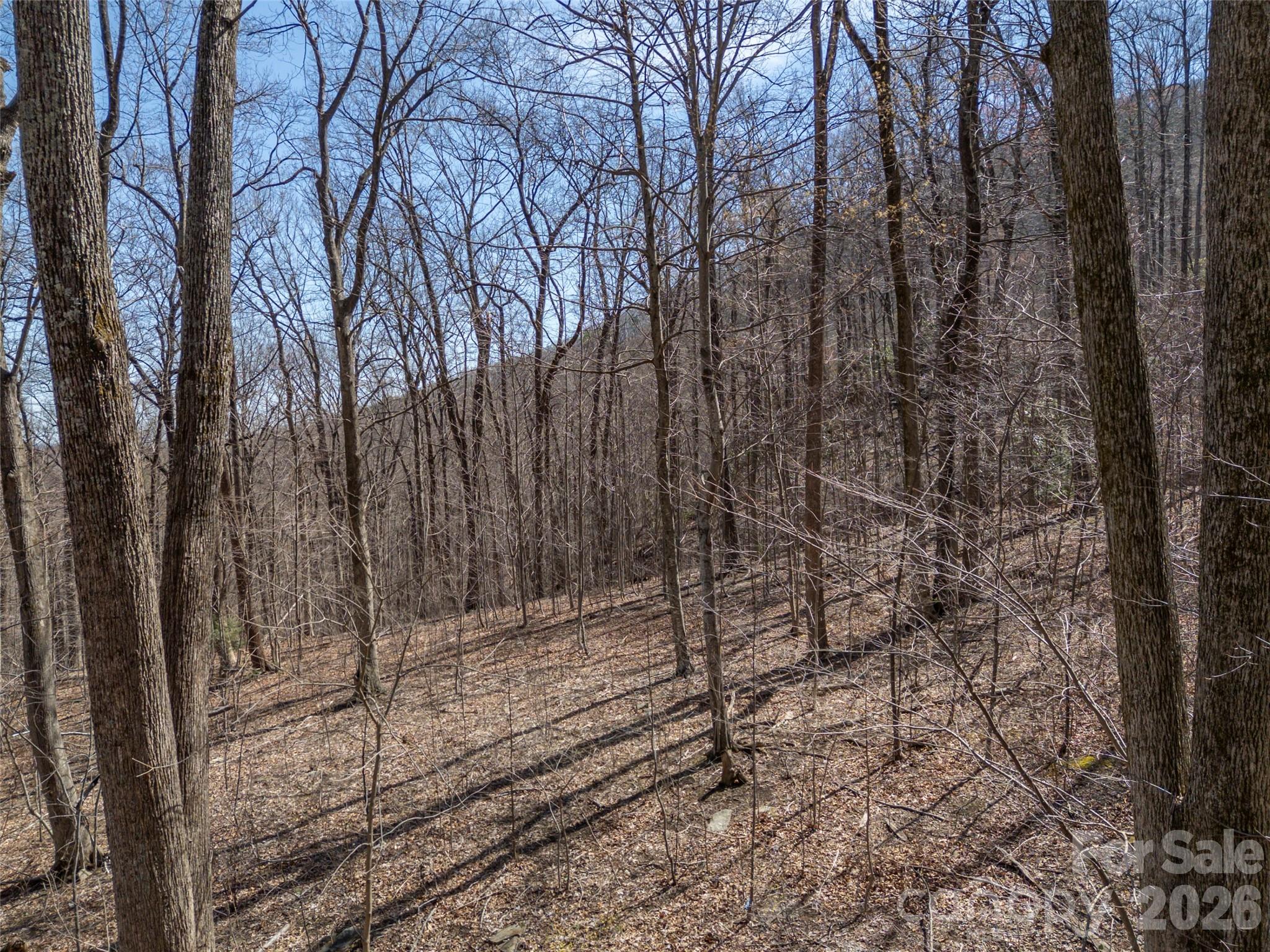 Lot 2130 Weaverly Lane Mill Spring NC 28756