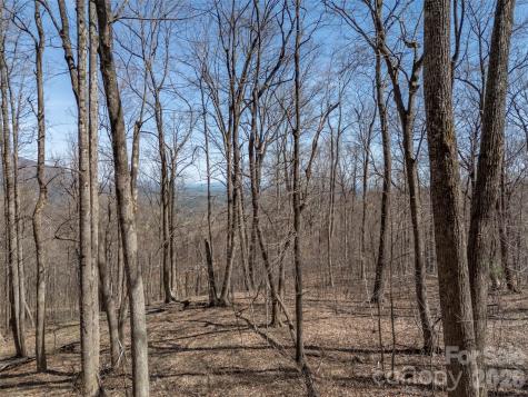 Lot 2130 Weaverly Lane Mill Spring NC 28756
