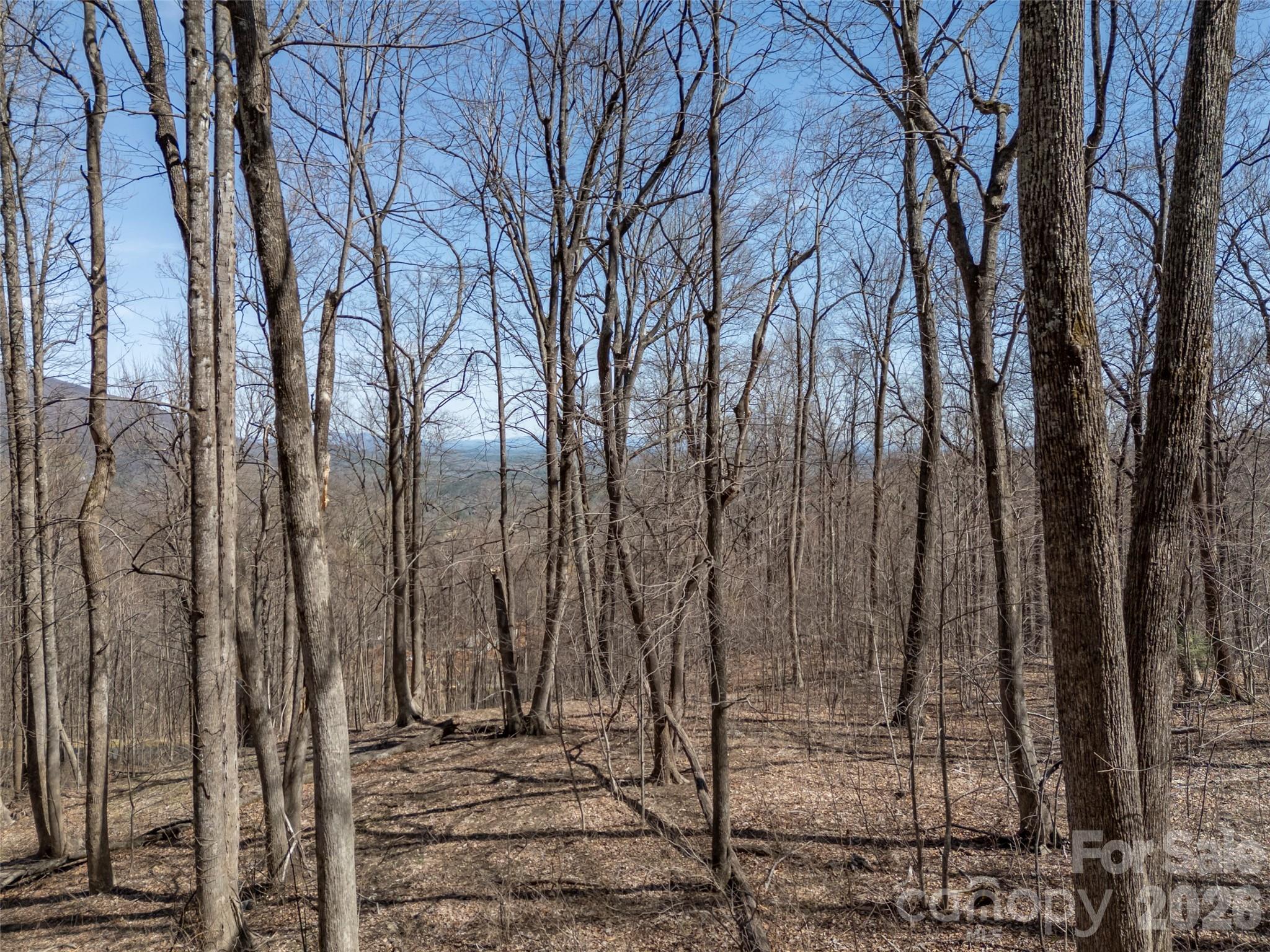 Lot 2130 Weaverly Lane Mill Spring NC 28756