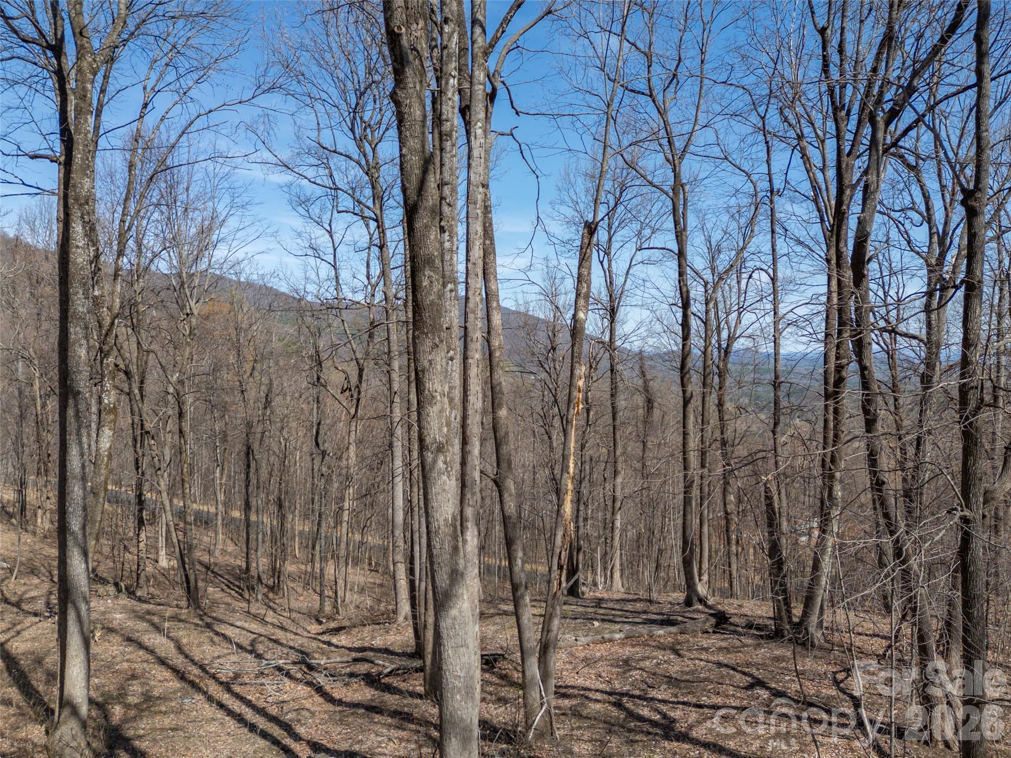 Lot 2130 Weaverly Lane Mill Spring NC 28756