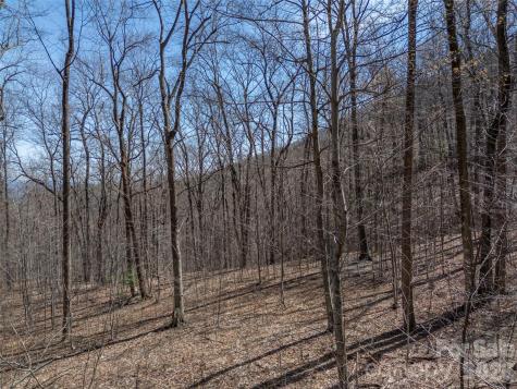 Lot 2130 Weaverly Lane Mill Spring NC 28756