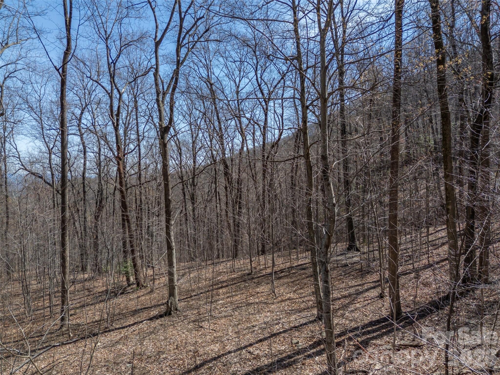 Lot 2130 Weaverly Lane Mill Spring NC 28756