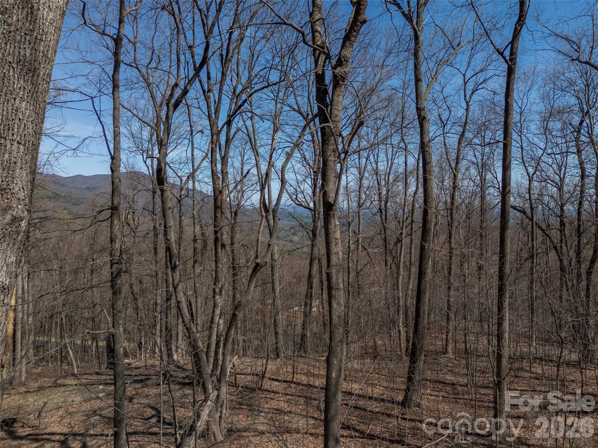 Lot 2130 Weaverly Lane Mill Spring NC 28756