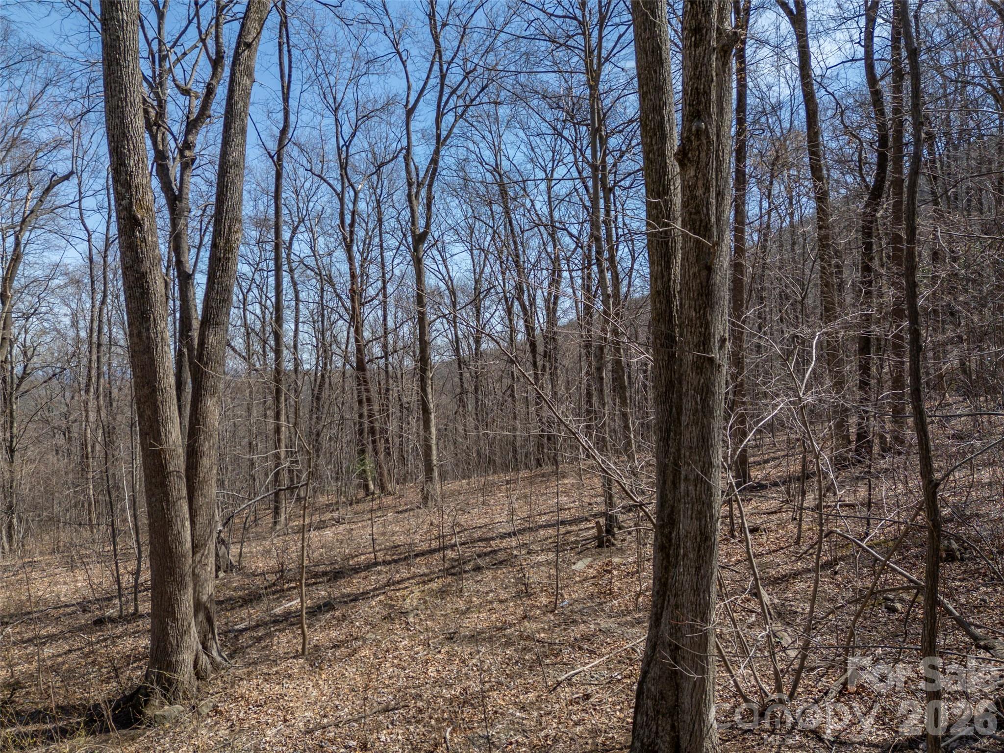 Lot 2130 Weaverly Lane Mill Spring NC 28756