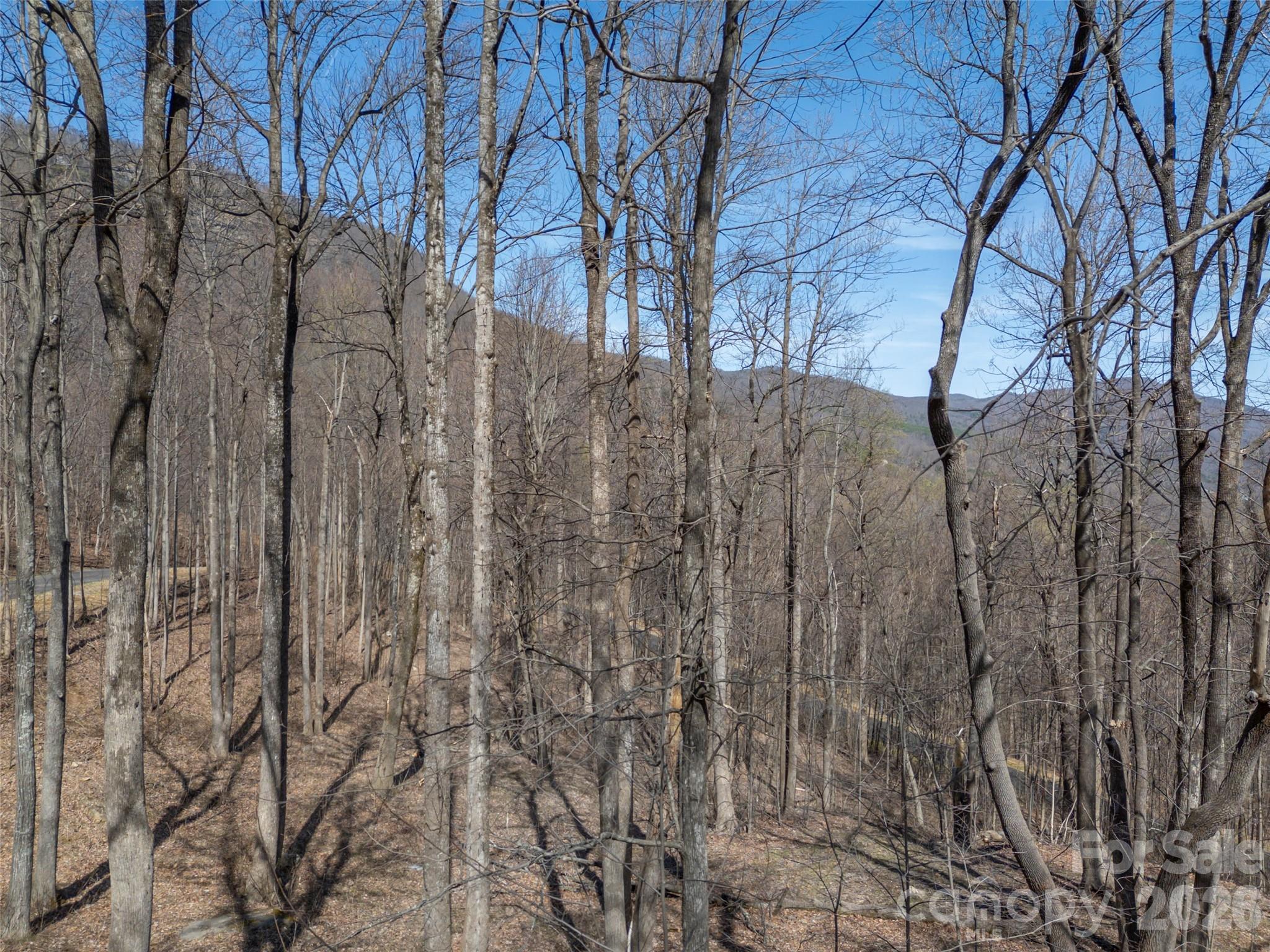 Lot 2130 Weaverly Lane Mill Spring NC 28756