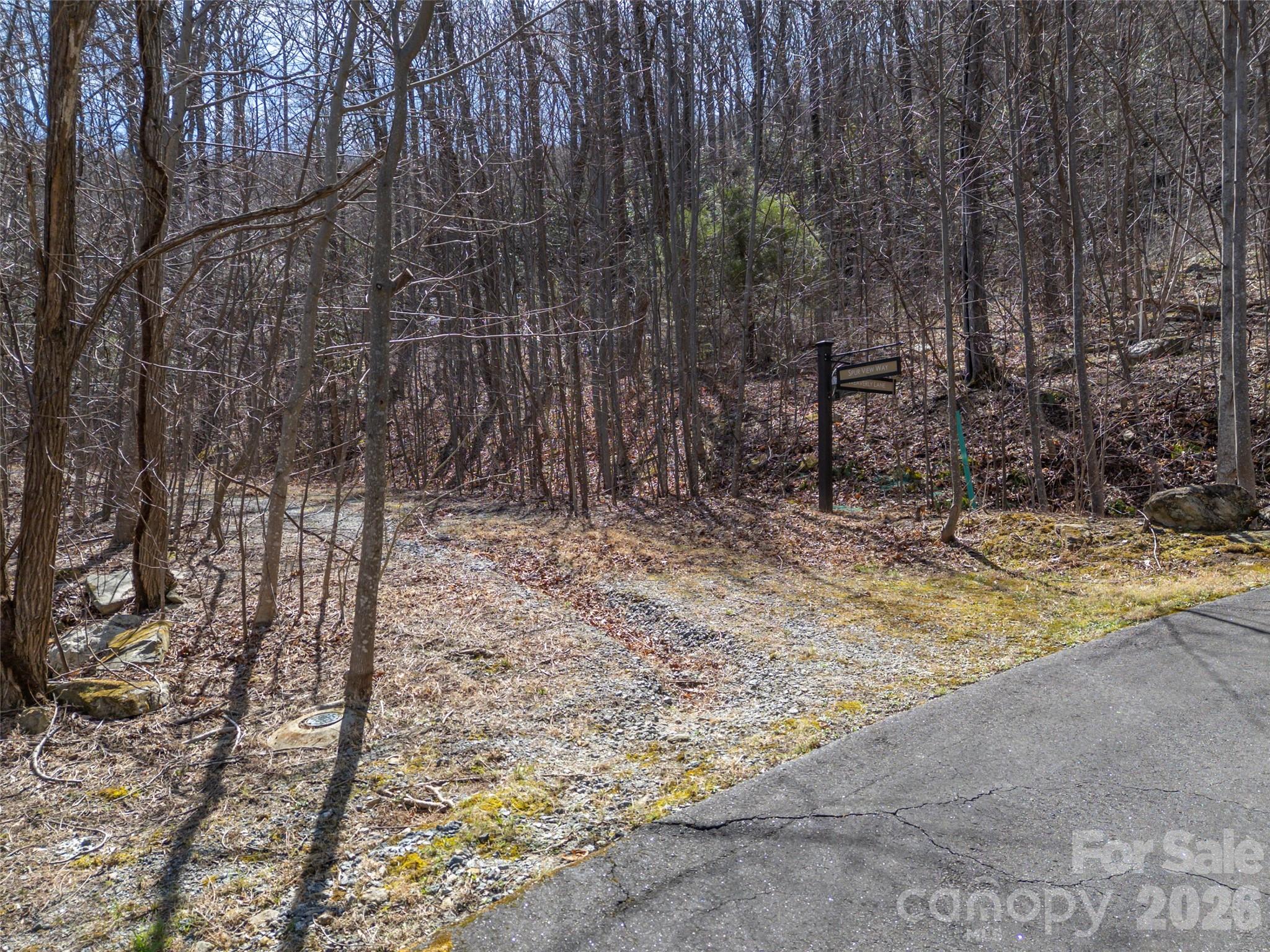 Lot 2130 Weaverly Lane Mill Spring NC 28756