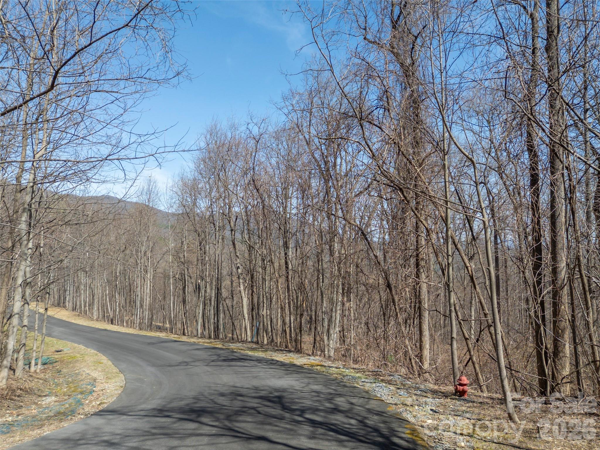 Lot 2130 Weaverly Lane Mill Spring NC 28756