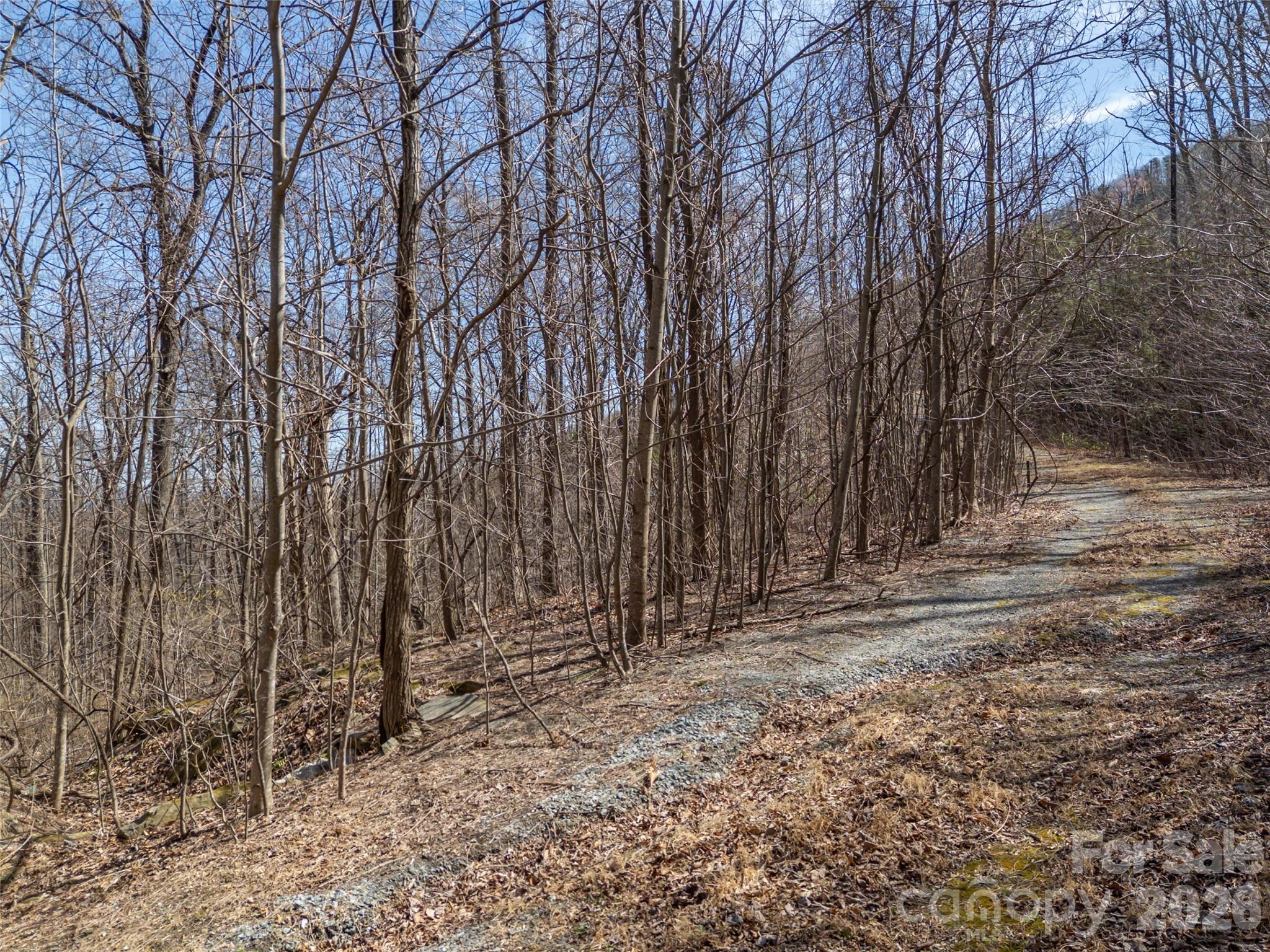 Lot 2130 Weaverly Lane Mill Spring NC 28756
