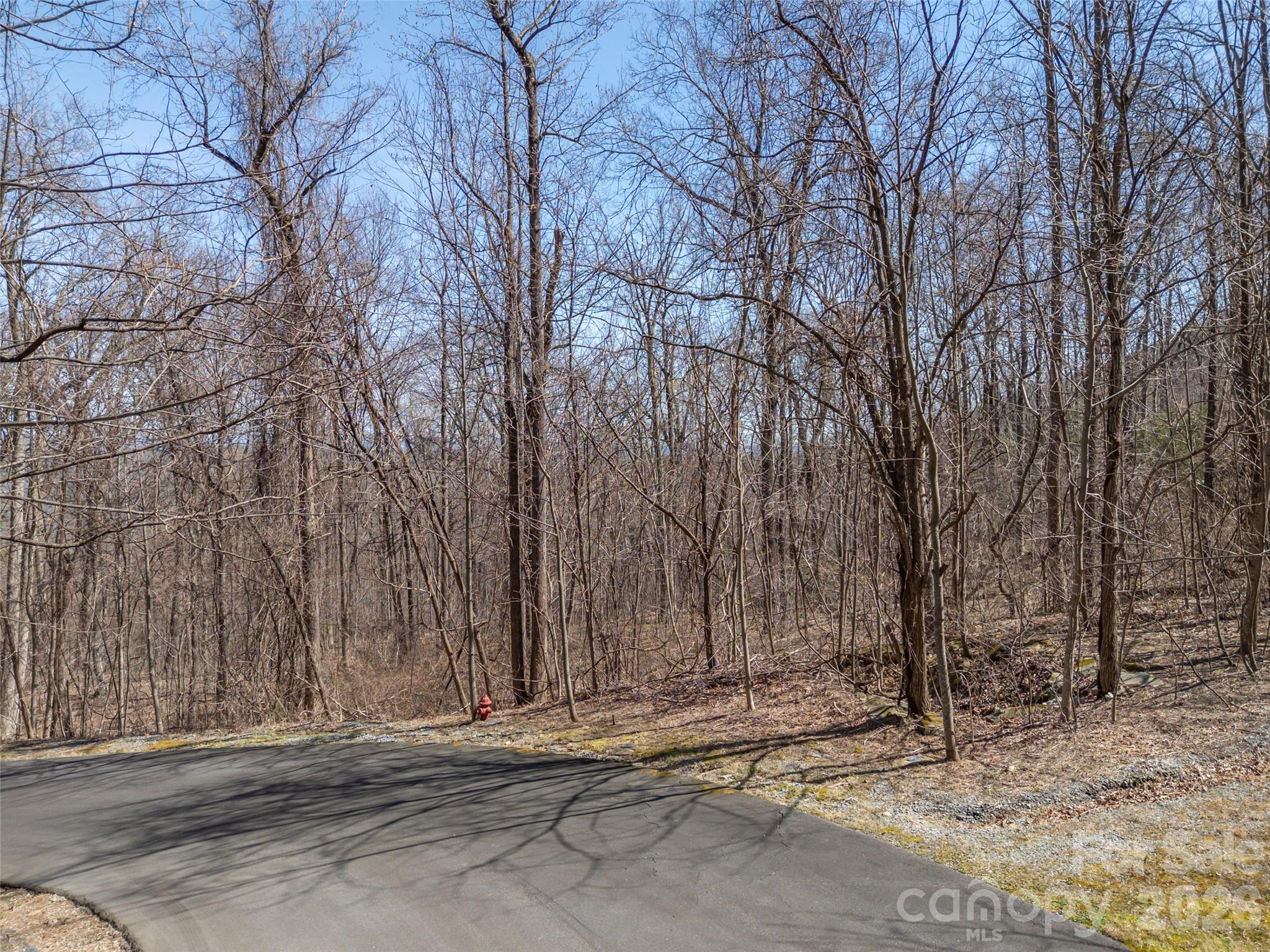 Lot 2130 Weaverly Lane Mill Spring NC 28756