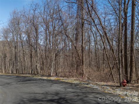 Lot 2130 Weaverly Lane Mill Spring NC 28756