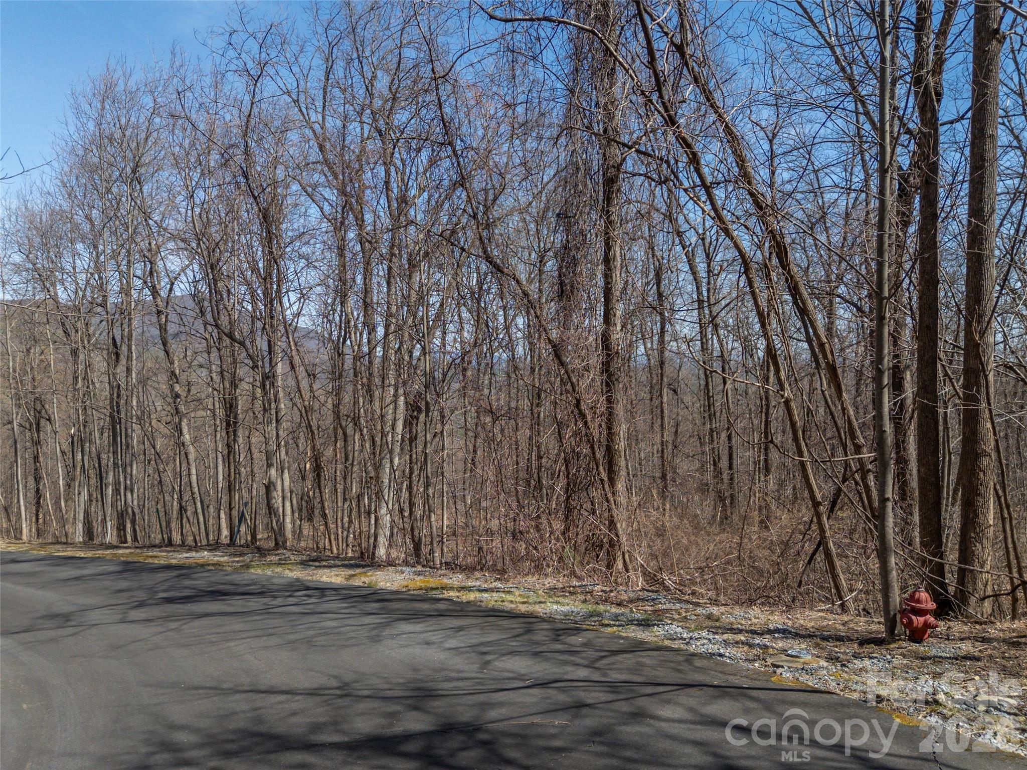 Lot 2130 Weaverly Lane Mill Spring NC 28756