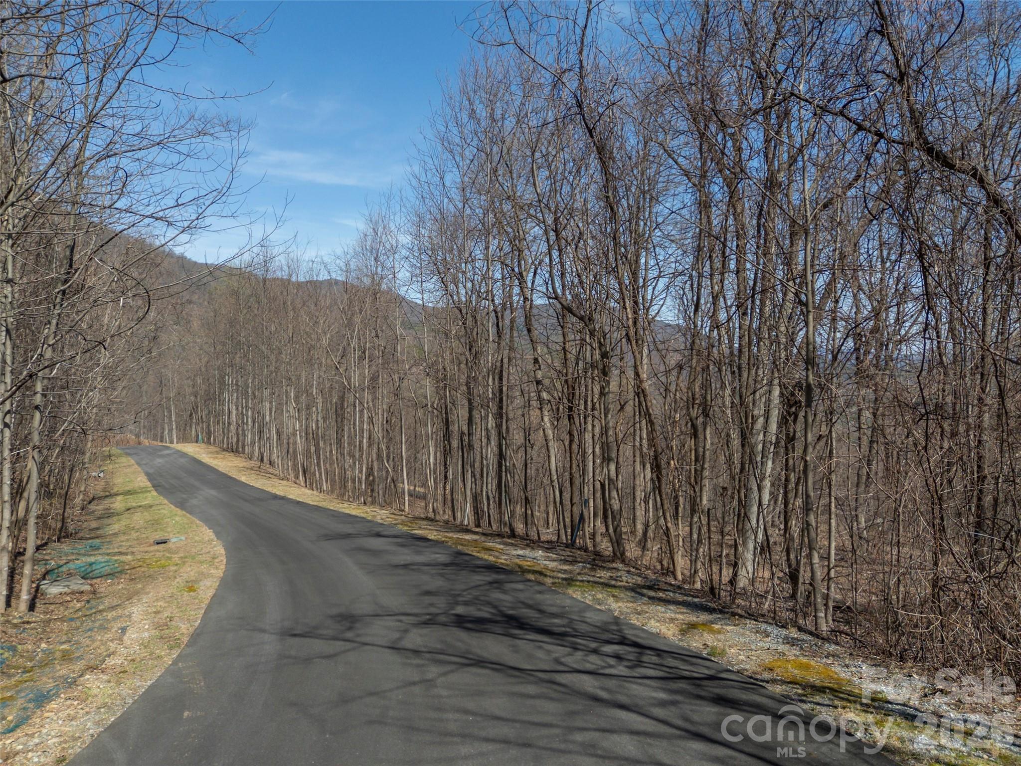 Lot 2130 Weaverly Lane Mill Spring NC 28756