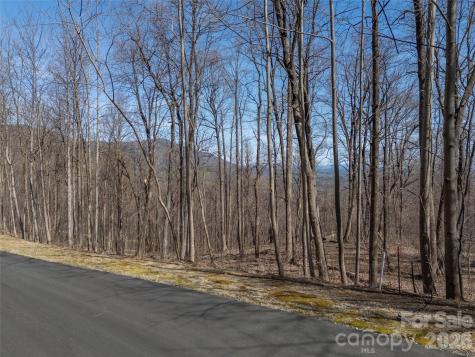 Lot 2130 Weaverly Lane Mill Spring NC 28756