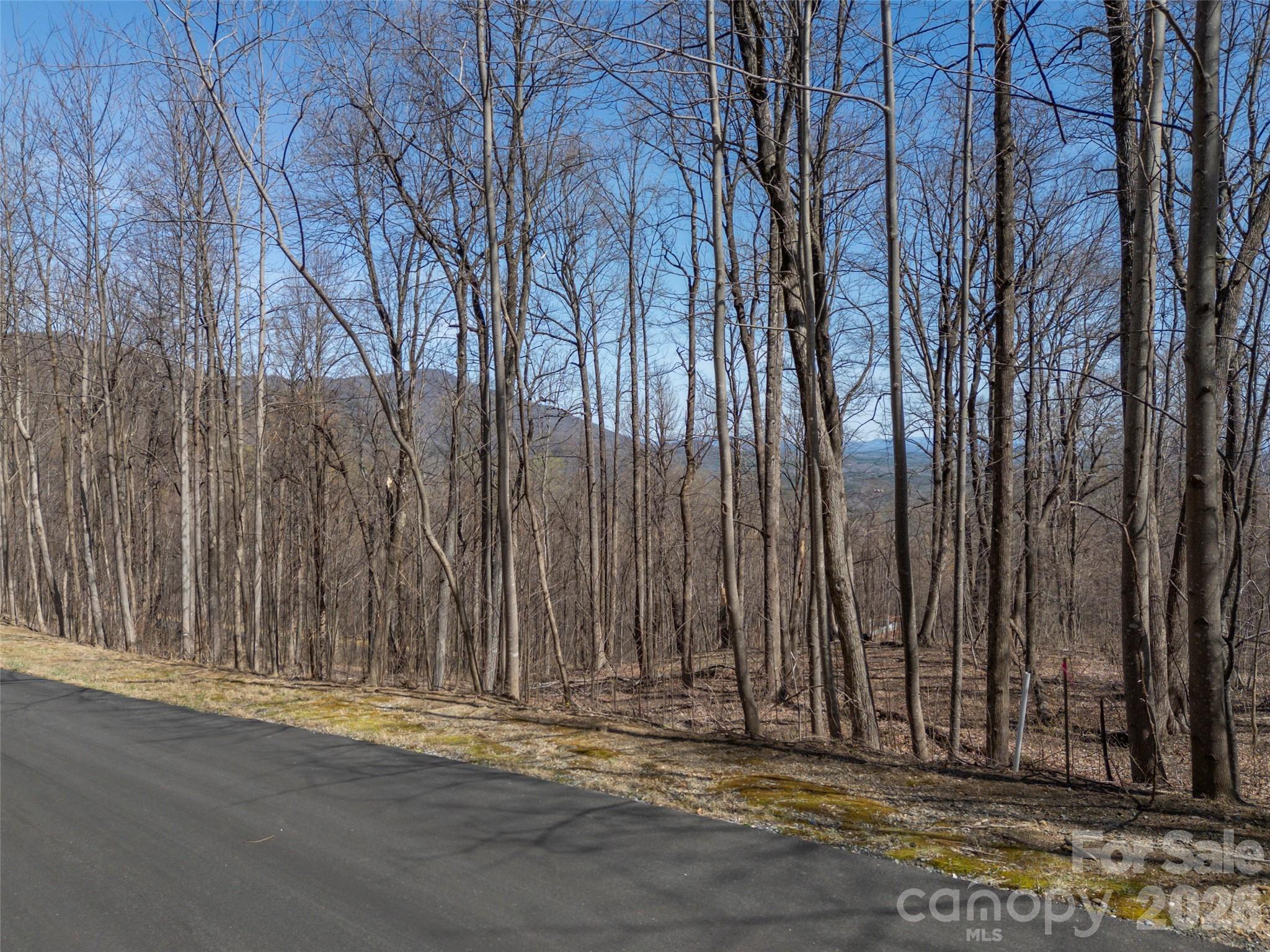 Lot 2130 Weaverly Lane Mill Spring NC 28756