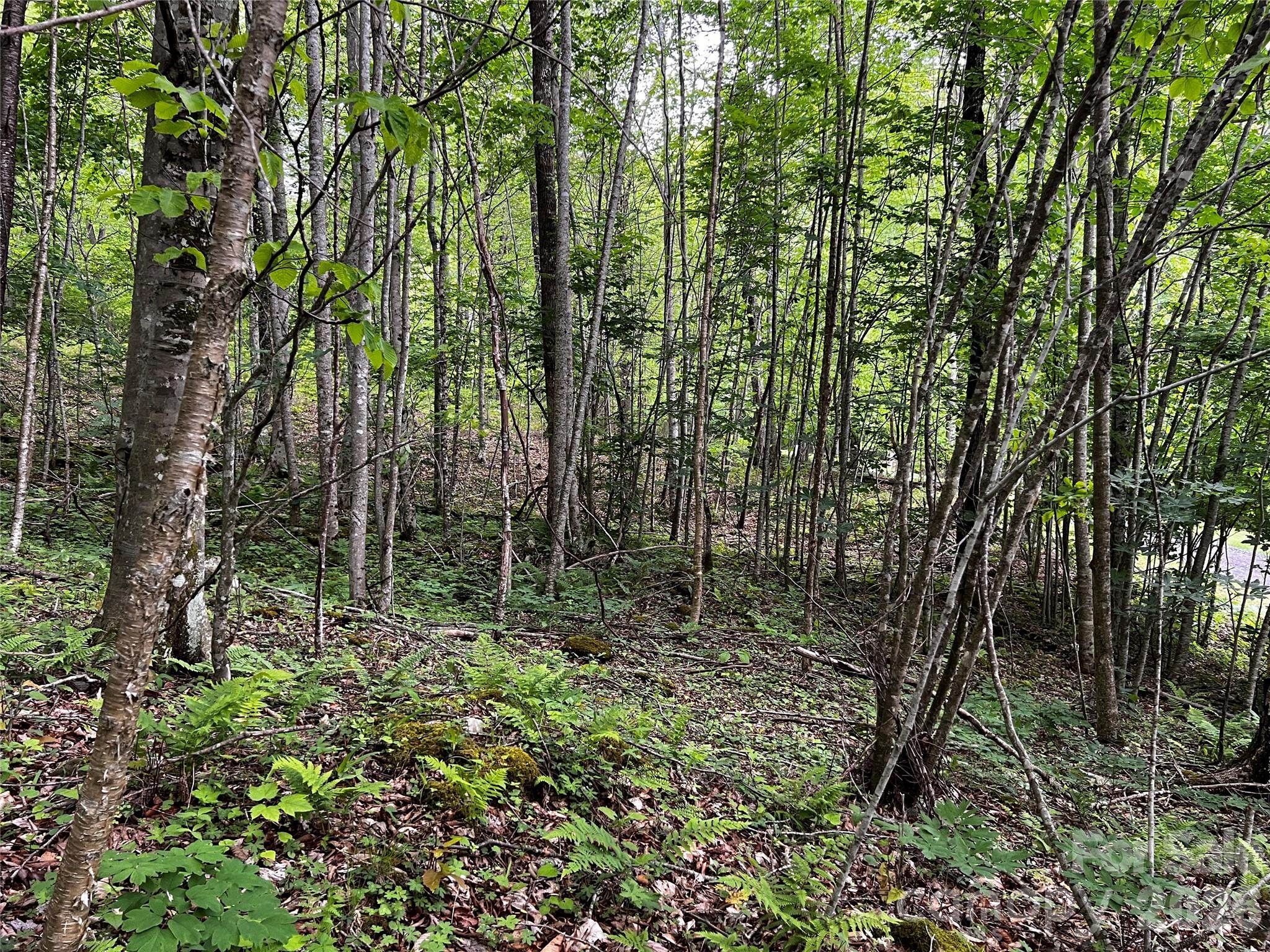 1 Pearl Way Mars Hill NC 28754