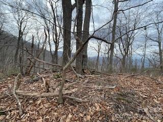 135 Gavin Glen Road Weaverville NC 28787