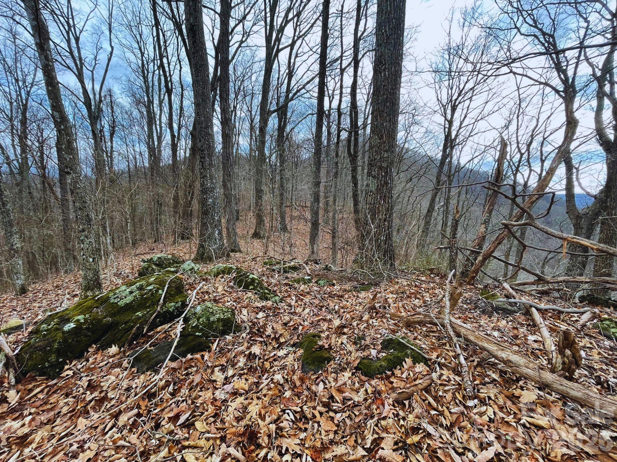 135 Gavin Glen Road Weaverville NC 28787