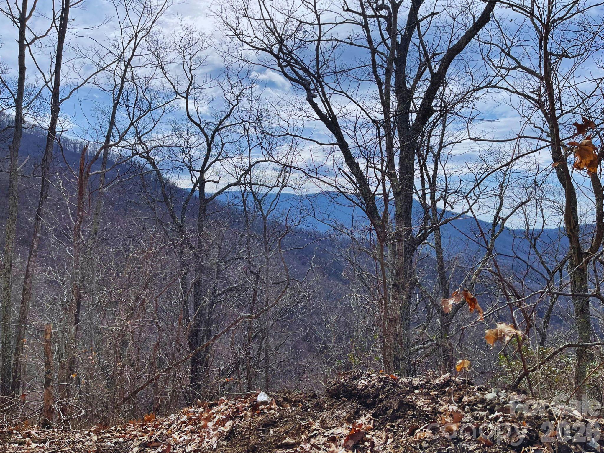 135 Gavin Glen Road Weaverville NC 28787