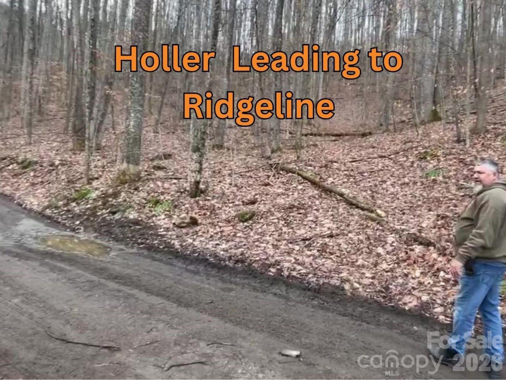 135 Gavin Glen Road Weaverville NC 28787